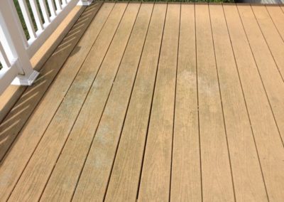 algae removal hagerstown