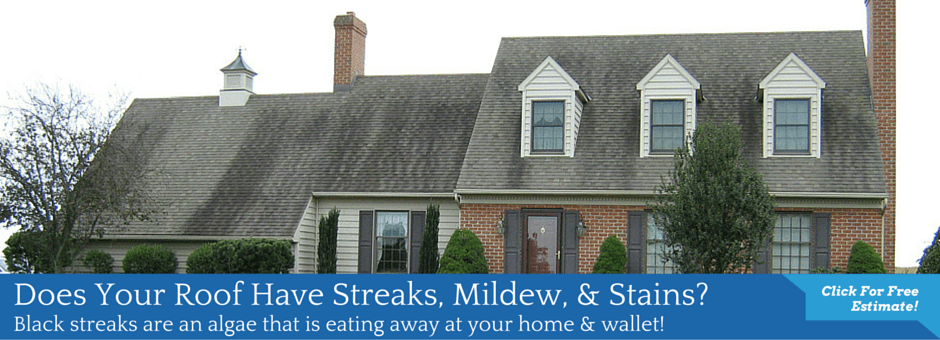 damage free roof cleaning hagerstown