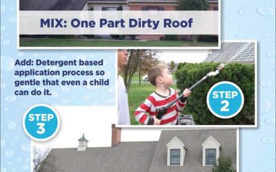 Before and After Pressure Washing: The Difference is Remarkable