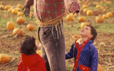 October Fun and Pressure Washing