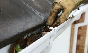Gutter cleaning is important.