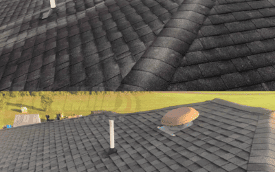 Restore Beauty and Add Years to Your Roof