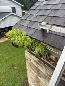Clogged gutters in early June. Complete Power Wash will clean them before July if you contact their Hagerstown, MD office soon.