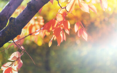 Fall is Here and the Outdoor Activities Have Begun